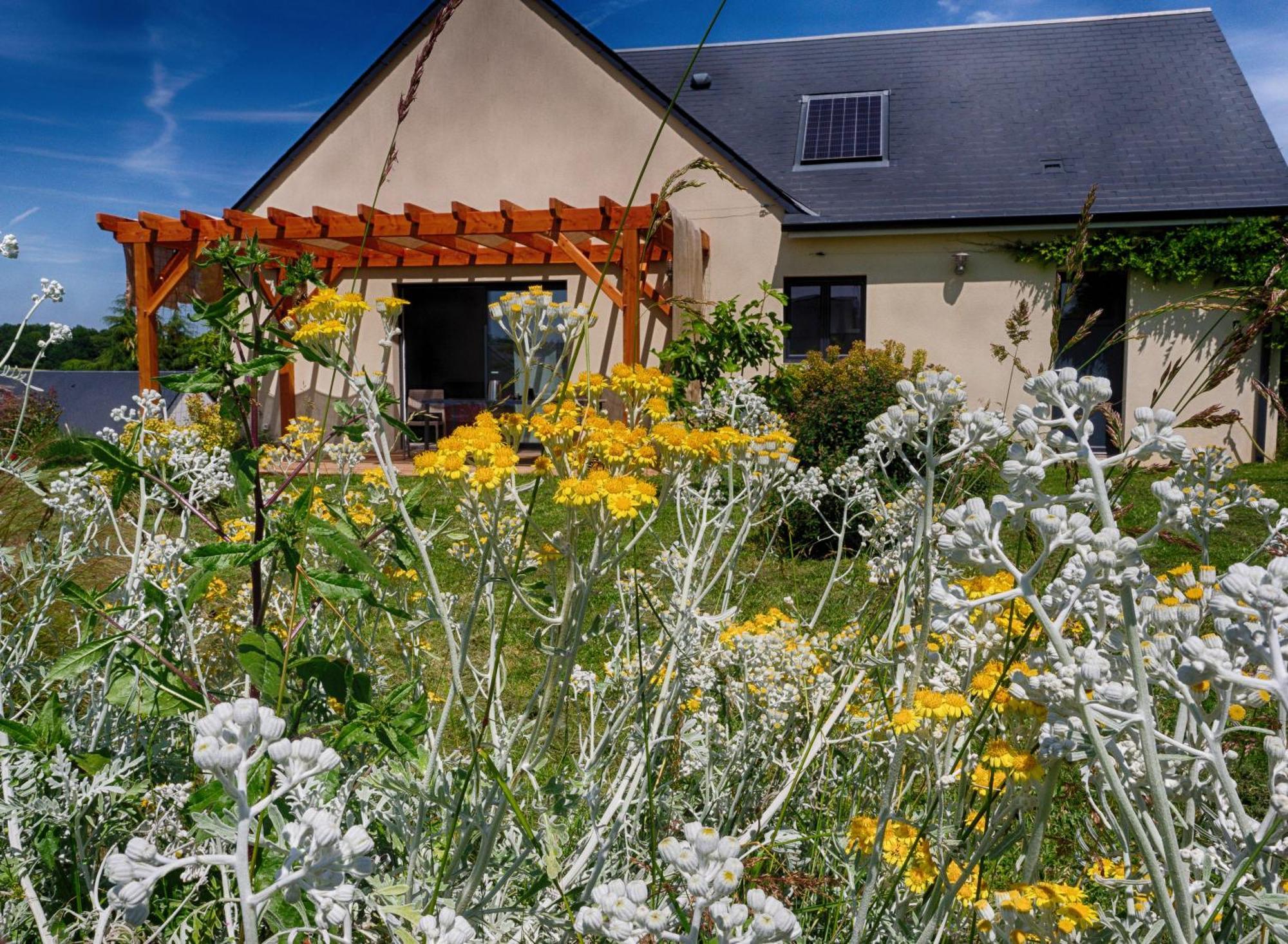 Le Logis D'Emeric Avec Paisible Jardin Clos&Arbore Loches Eksteriør billede